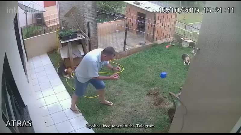 Корсар сила!