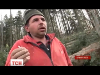 Купи собі конє і мож вівозити