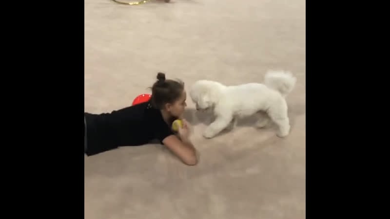 Арина и дина аверины на тренирое