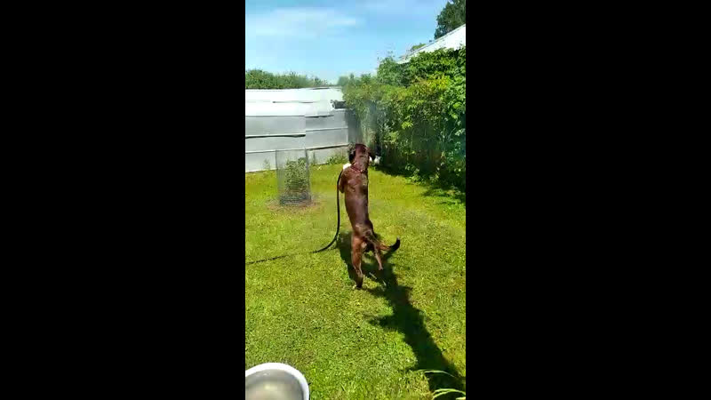 Мирон знает как утолить жажду 🤩