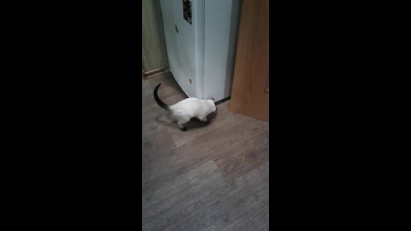 Тося(дочка)