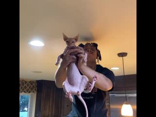 Trippie redd играет в «короля льва» со своим котом