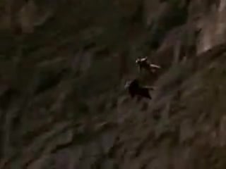 Люди летают