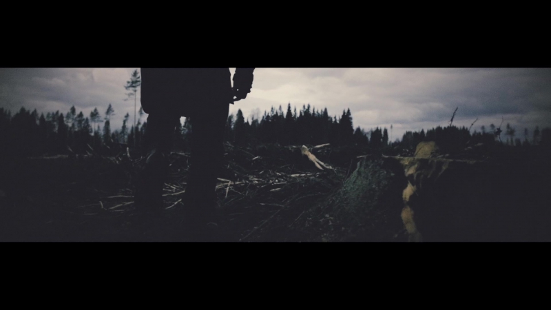 Mike amanita | equilibrium 2016