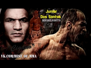 Junior "cigano" dos santos highlights