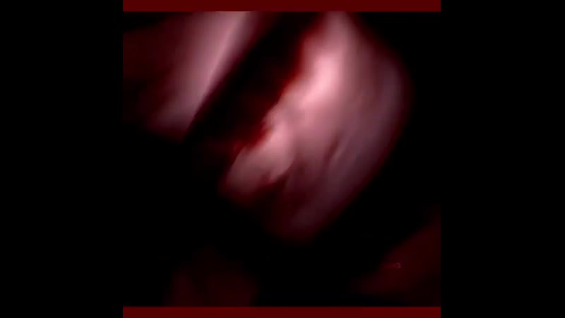 Ночные этюды