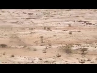 Video rslf 20th mechanized brigade m113 apcs spread over baqim district of saada governorate as the jointforces conquer abwab al