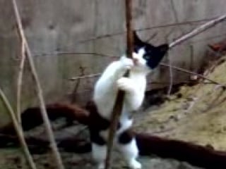 У школьницы задралась юбка и он не выдержал