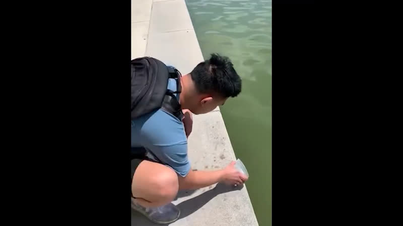 Парень завел себе черепашку любил её, кормил, выхаживал, и тут решил отпустить на волю