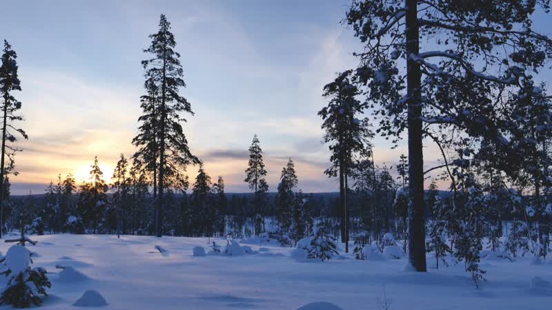 Карелия переспать с тайгой в избушке