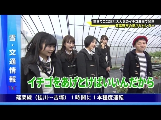 160124 hkt48 no goboten ep82