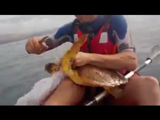 Доброты видос !