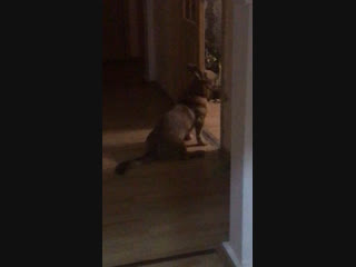 Бакс ценит хорошую музыку