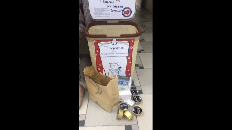 Выемка «корзина добра» ветклиника ветландия 26 06 19