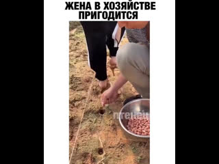 Жена в хозяйстве пригодится