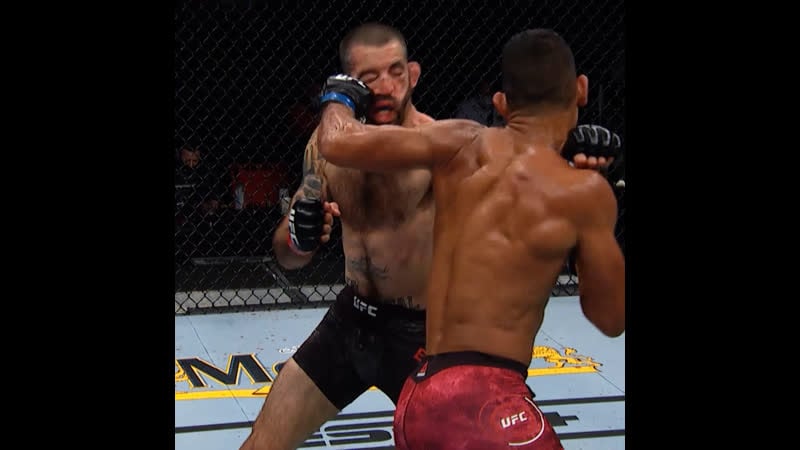 Мигель баеза нокаутирует "бессмертного"!