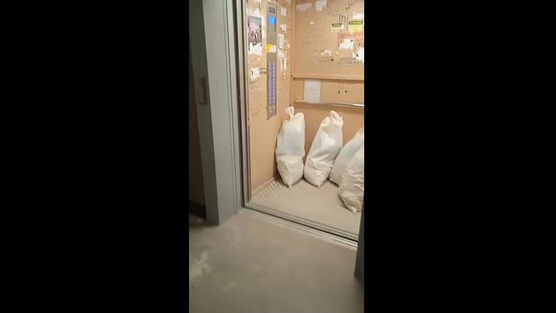 Оказание услуг грузчиков