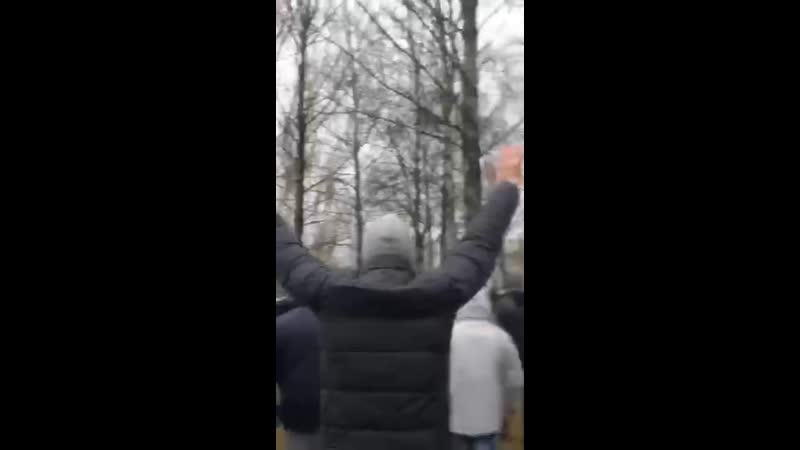 Подняли руки