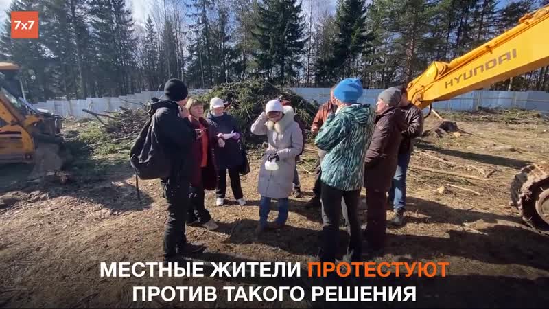 Защитники каменного бора в карелии снова остановили земляные работы под строительство детсада