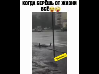 Береш от жизни все