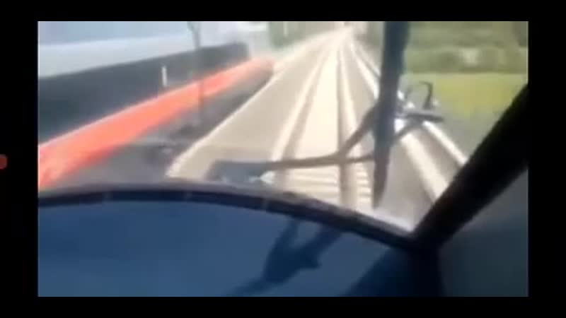 Гонки поездов