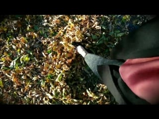 Vid 20181006 162441(0) mp4