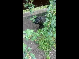 Mov 5576 mp4 (720p) mp4