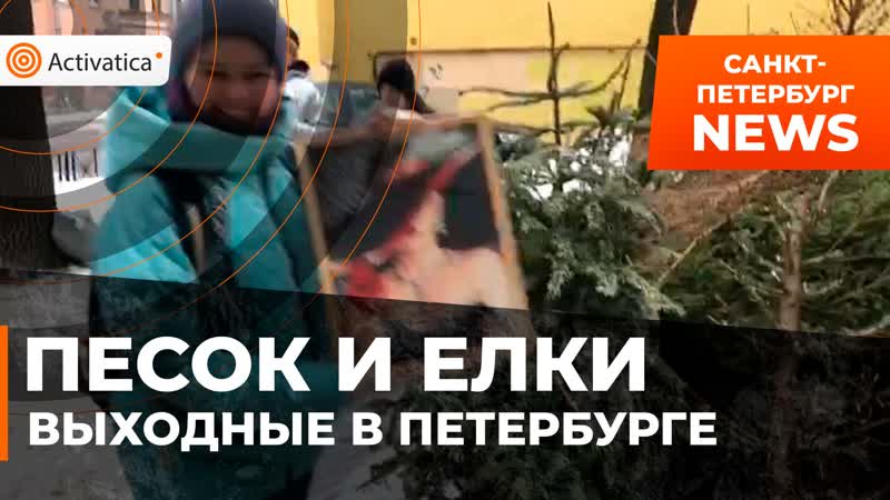 Раздача песка и сбор ёлок в петербурге