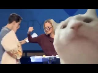 Paula white meets eminem best thing ive seen today