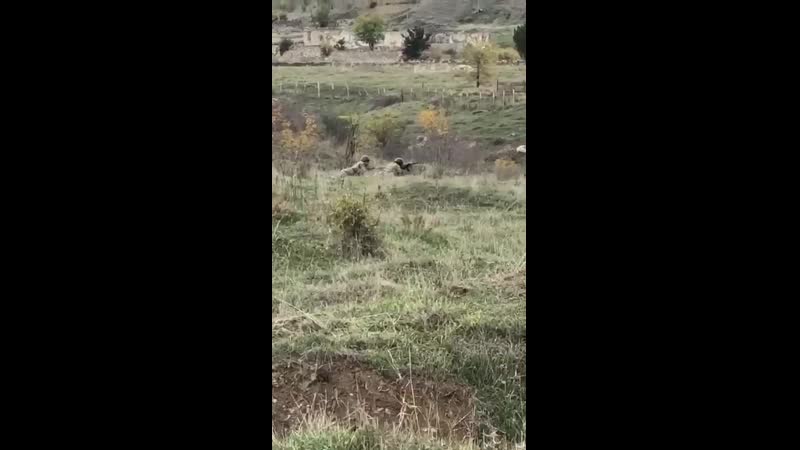 12 армянских солдат остались на территории, захваченной азербайджаном, и отказываются сдаваться