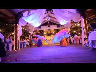 Candice frankland and phoenix belly dance wedding performance