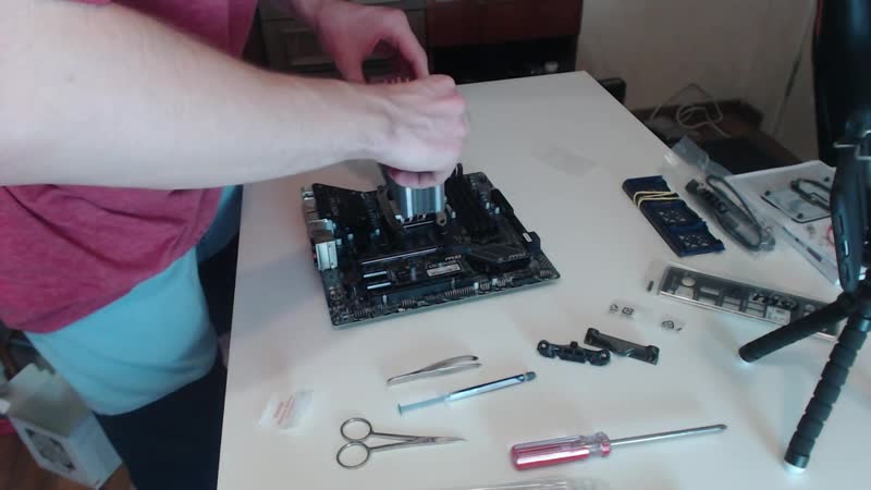 [kickrocks] собрал пекан (в такое то время)