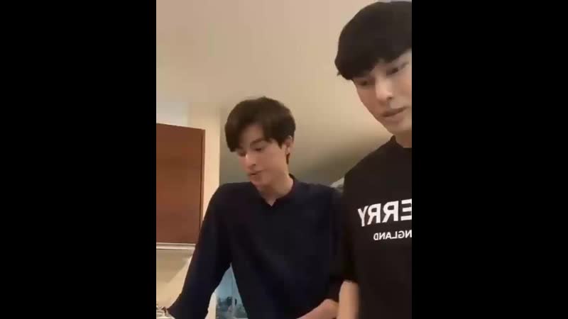 История тарна и тайпа мью галф