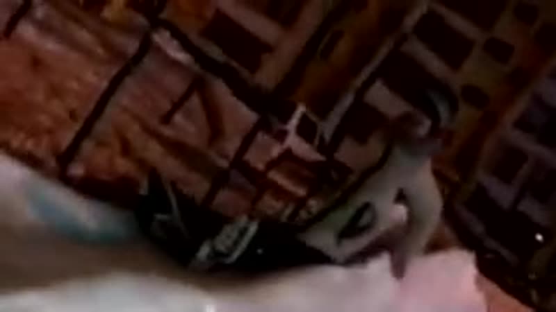 Людочка прикольно скукожилась с горочки )))))))))))))))))))))))