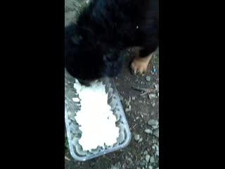 Vid 20200724 210554 mp4