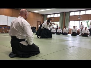 63 daito ryu aikijujutsu convention