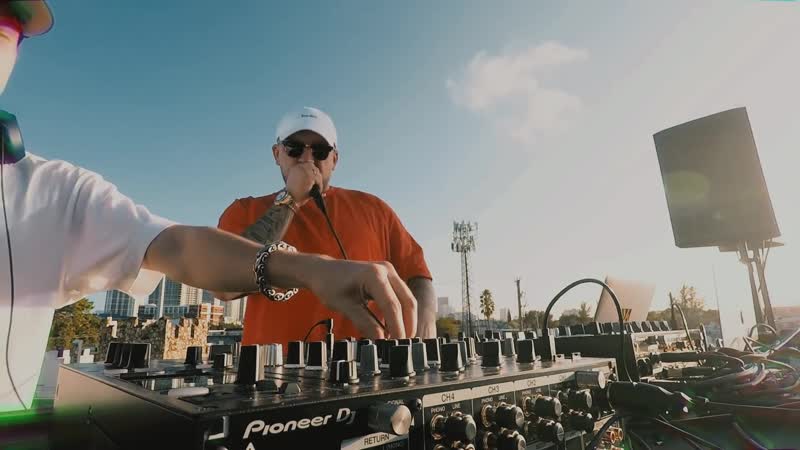 Gorilla zippo live in miami