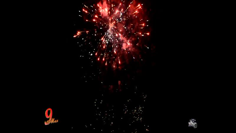 Салют грязовец