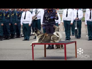 Утренник в “совушке”
