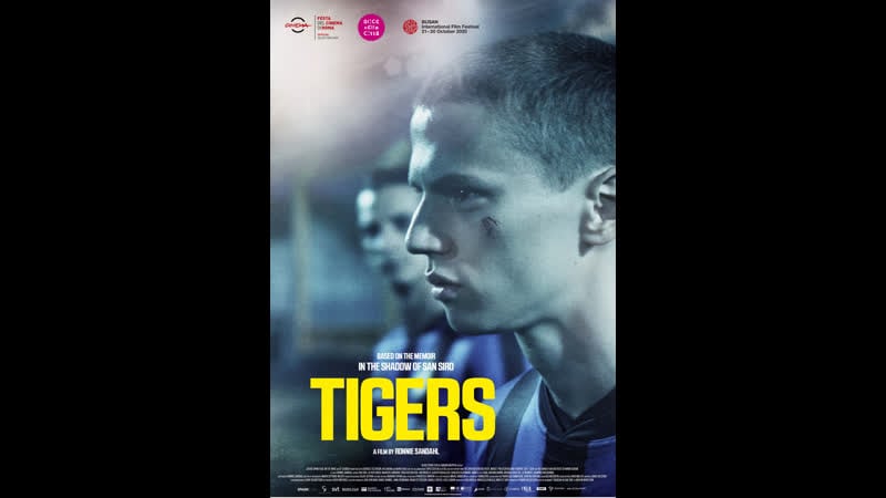 Тигры (2020) tigers
