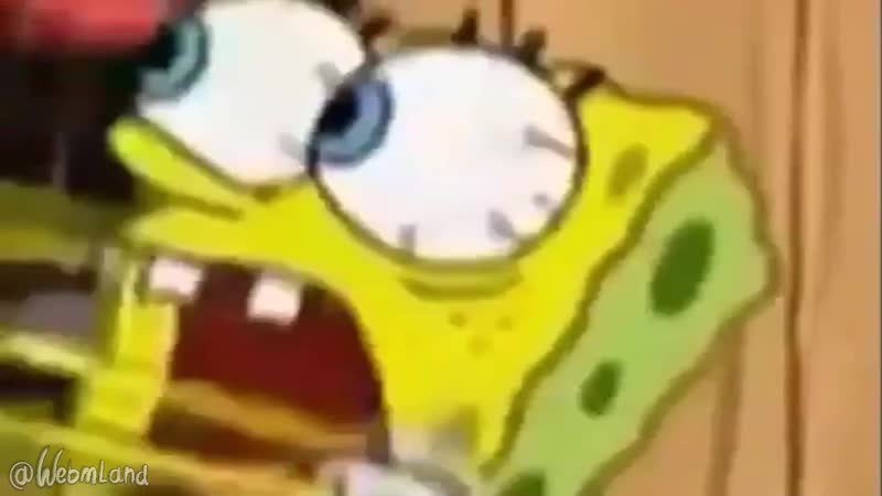 Губка боб на немецком