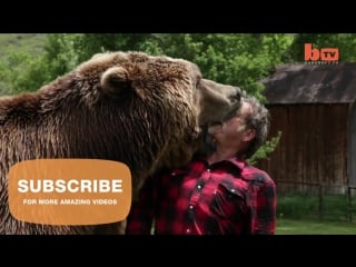 Wrestling a grizzly bear in my garden