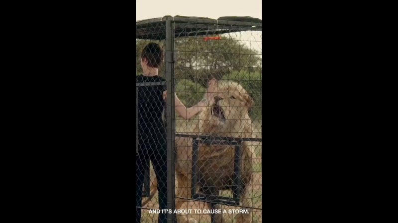 Instagramstory tag heuer