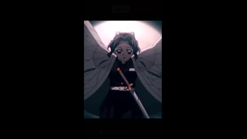 🦋 шинобу кочо 🦋