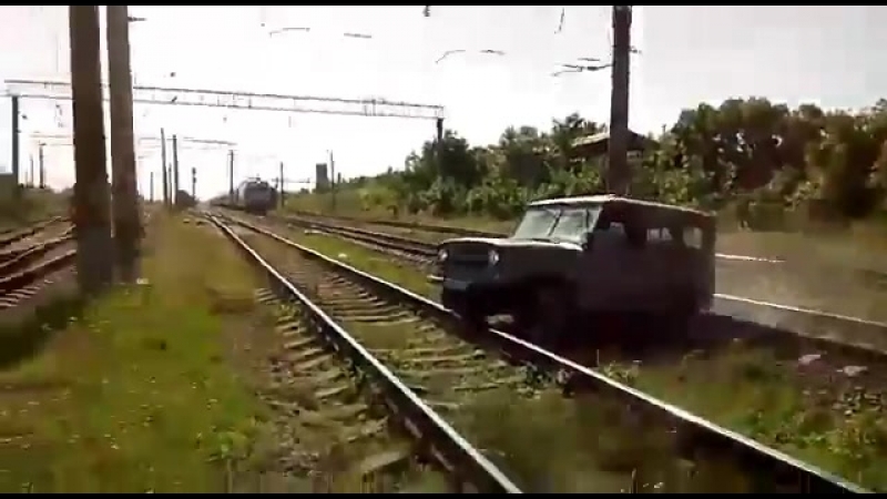 Вылазь, блть, он тебя сожрет, нахй