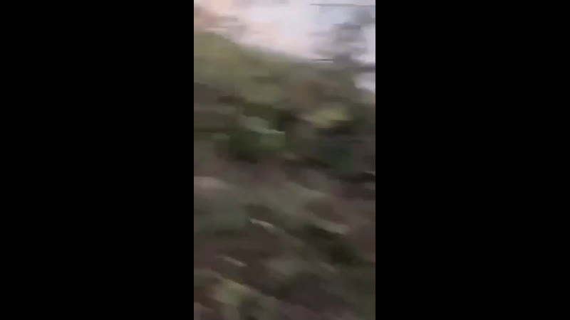 Давай чайку попьем