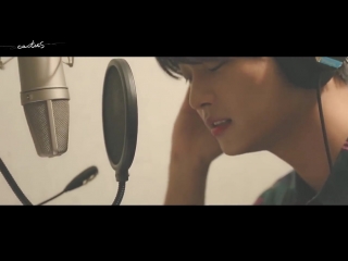 N (vixx) cactus