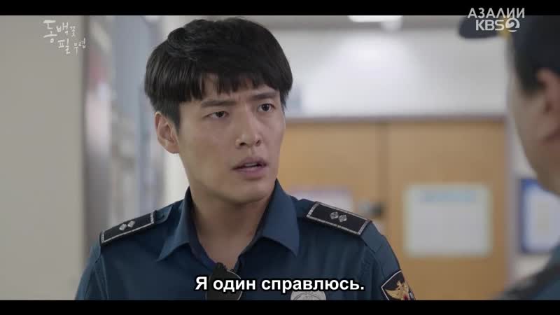 Когда цветет камелия 7/20