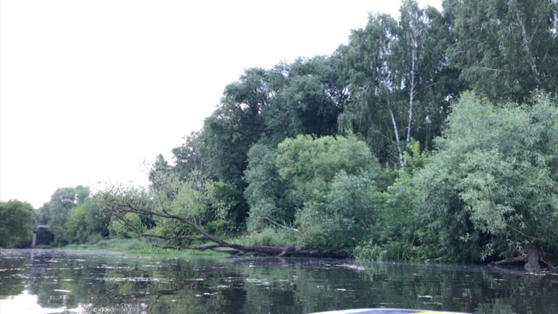 Орлик красивая река, но требует очищения от мусора!