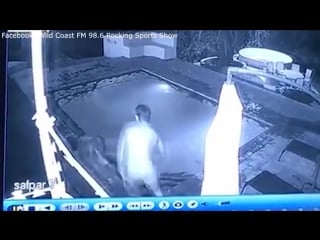 Horrifying footage couple porn by crocodile while swimming in hotel pool